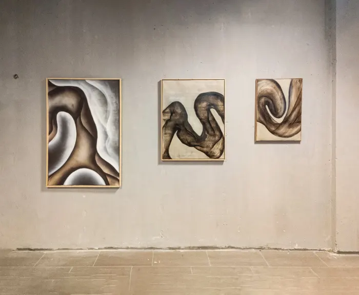 Jerôme Sweelssen — foto 4