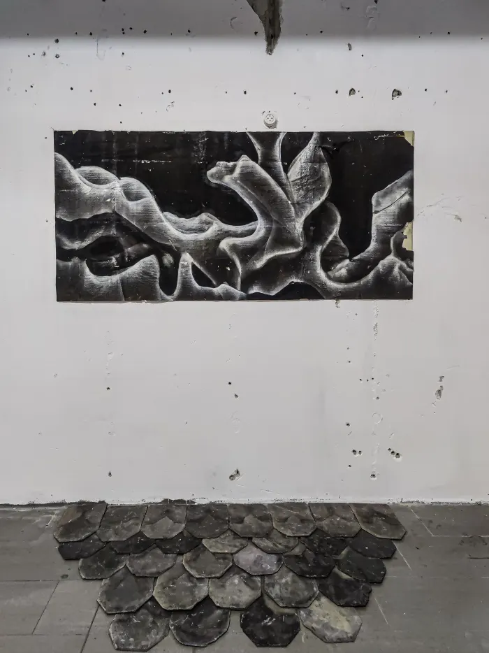 Jerôme Sweelssen — foto 11