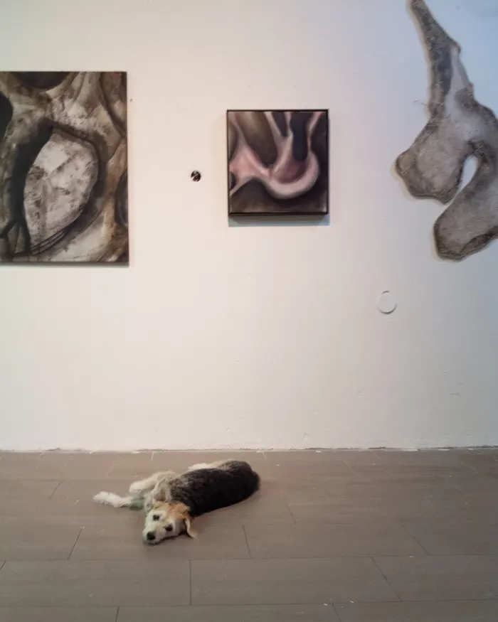 Jerôme Sweelssen — foto 12